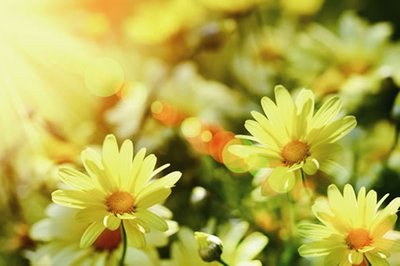 3dmax插件-场景垃圾清理