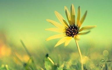 SketchUp插件-插件库