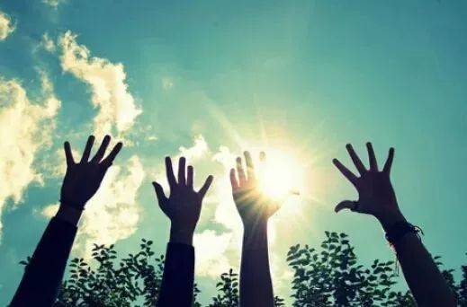 Movavi Video Editor Plus mac版