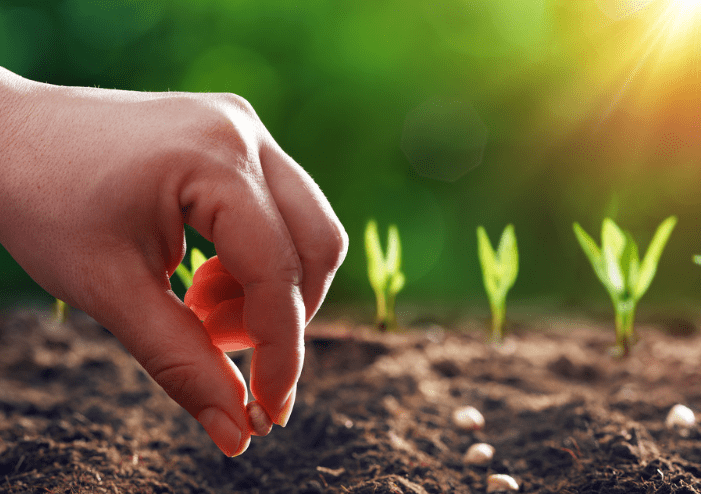 Movavi Screen Recorder 11.4.0 mac版